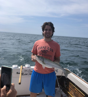 Striped bass action in Eastham waters!